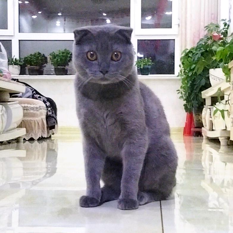 *好宝宝♚