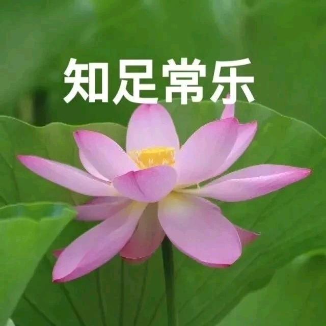 每天正能量
