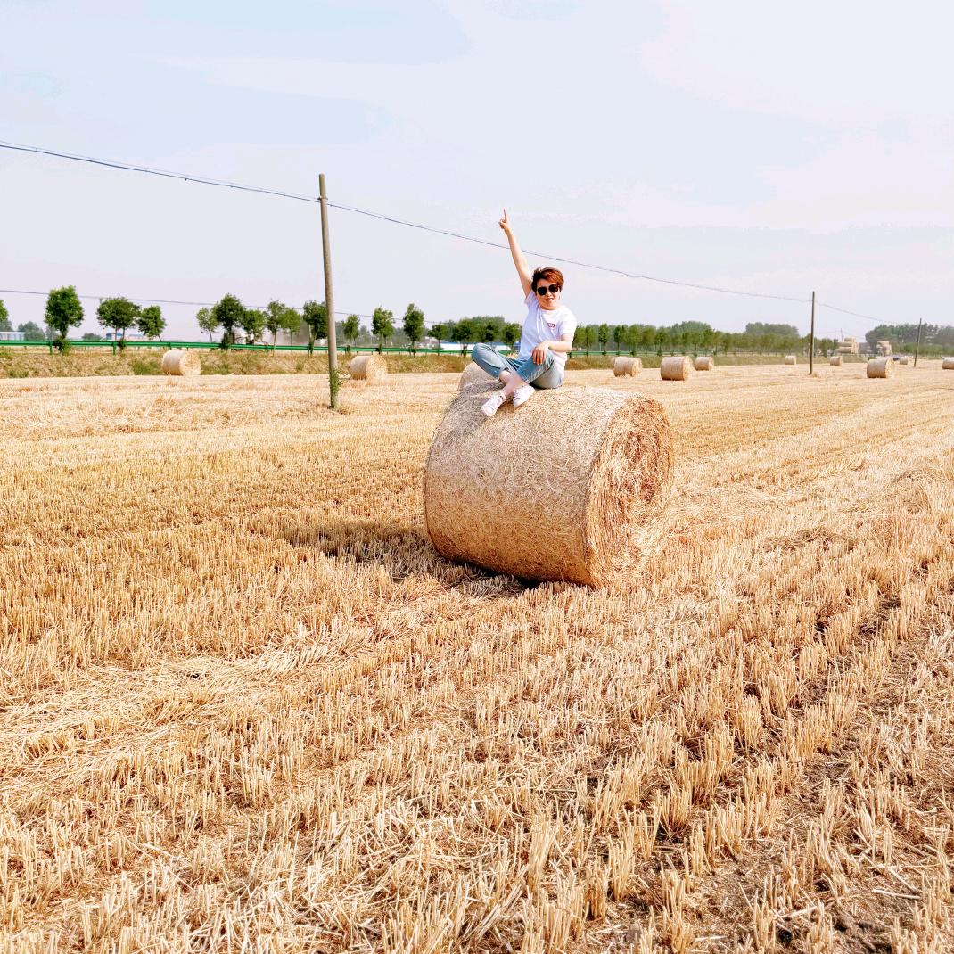 阳光草业《供应商》