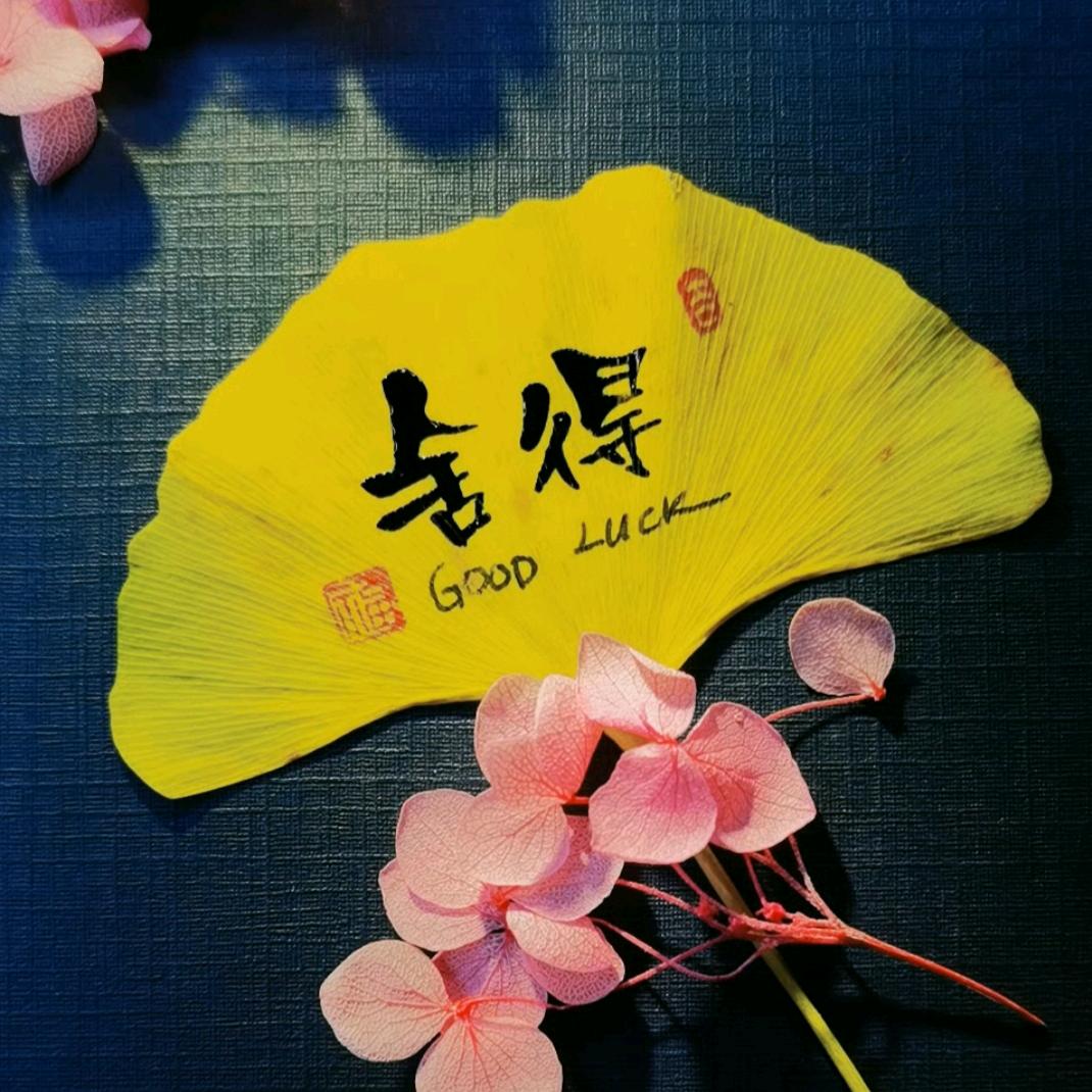 夹子