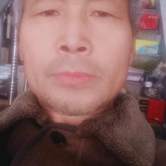 振忠