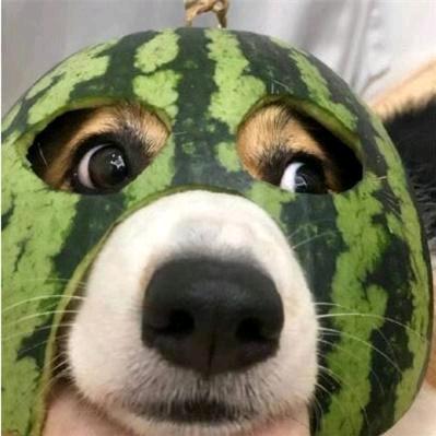 过ོ客͡ꦿ᭄