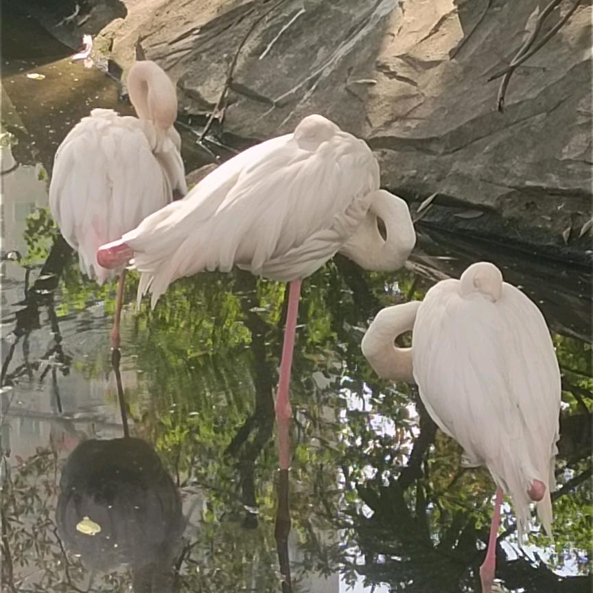 🌈🐉真诚🐉🌈