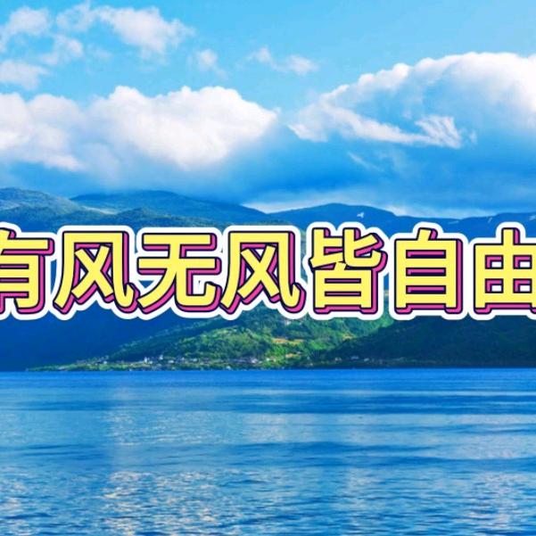 有风无风皆自由