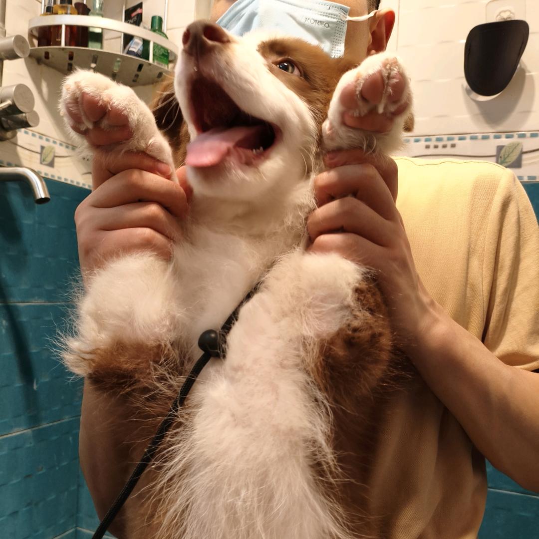 可爱小抖