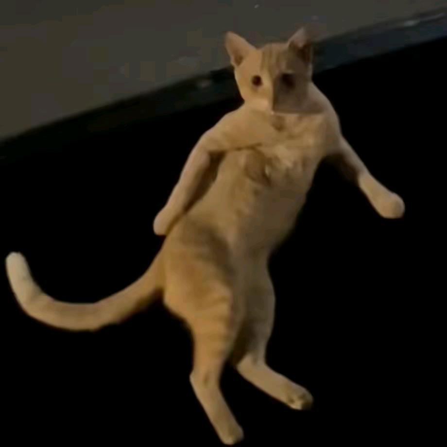 互关互助（有关必回）1