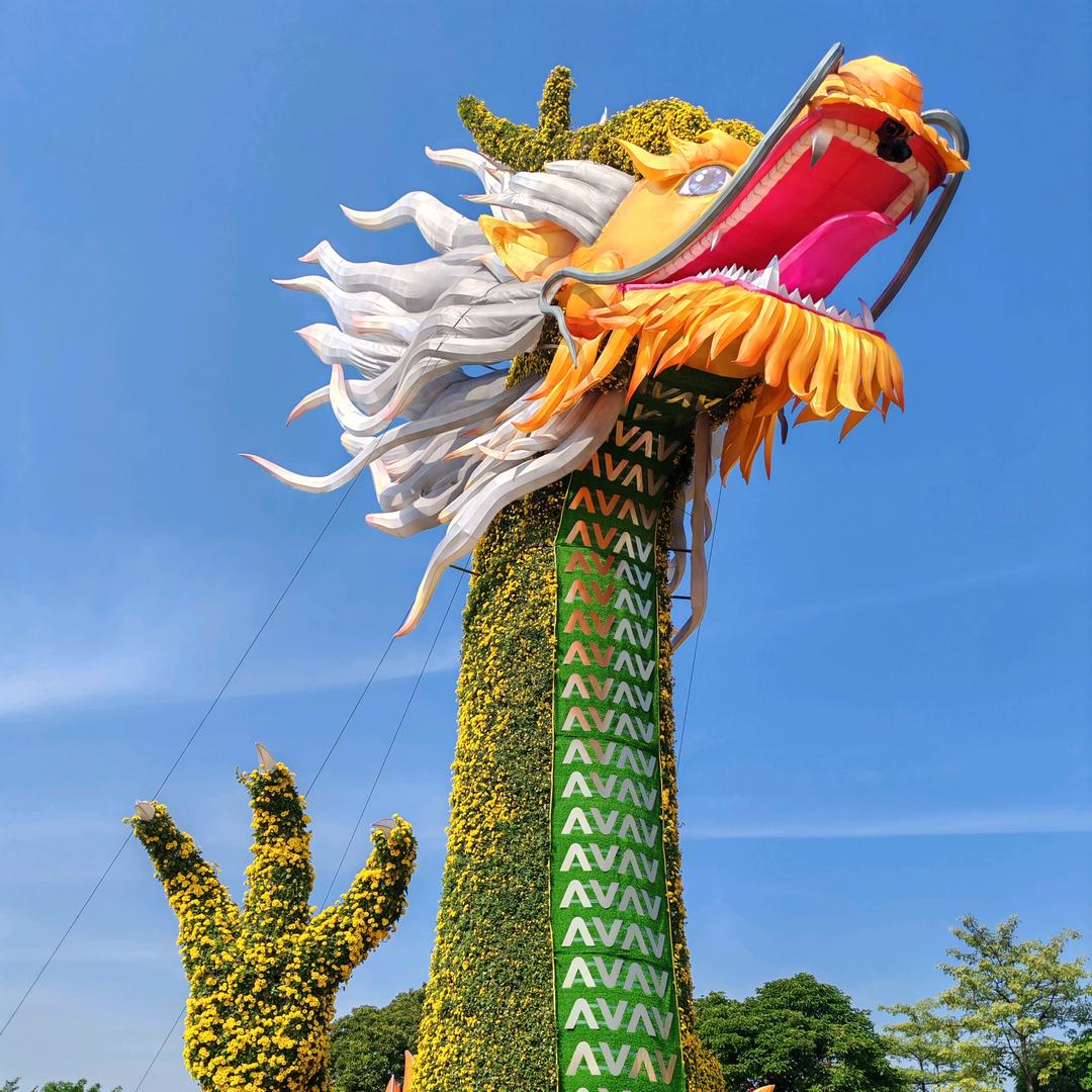 淇乐乐呀