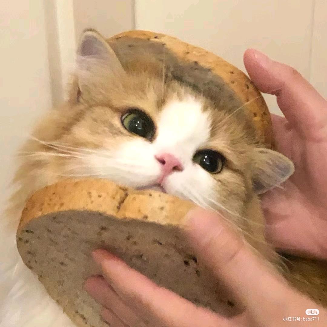栗子🌰