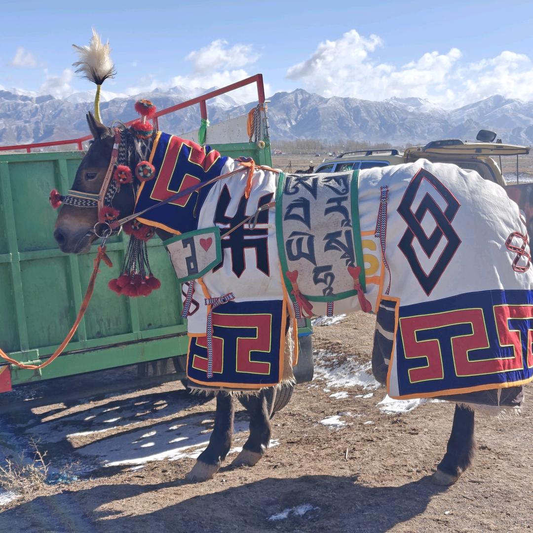 🐎嘉贡顿珠