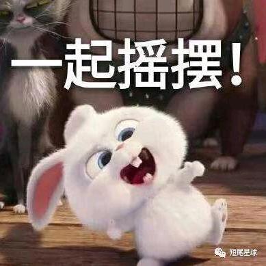 代秀
