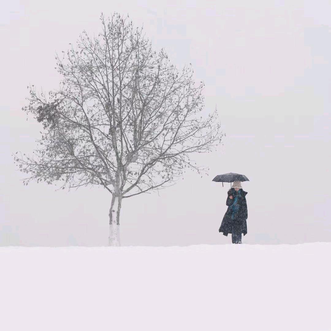 菜宝꧔ꦿ²⁵²¹