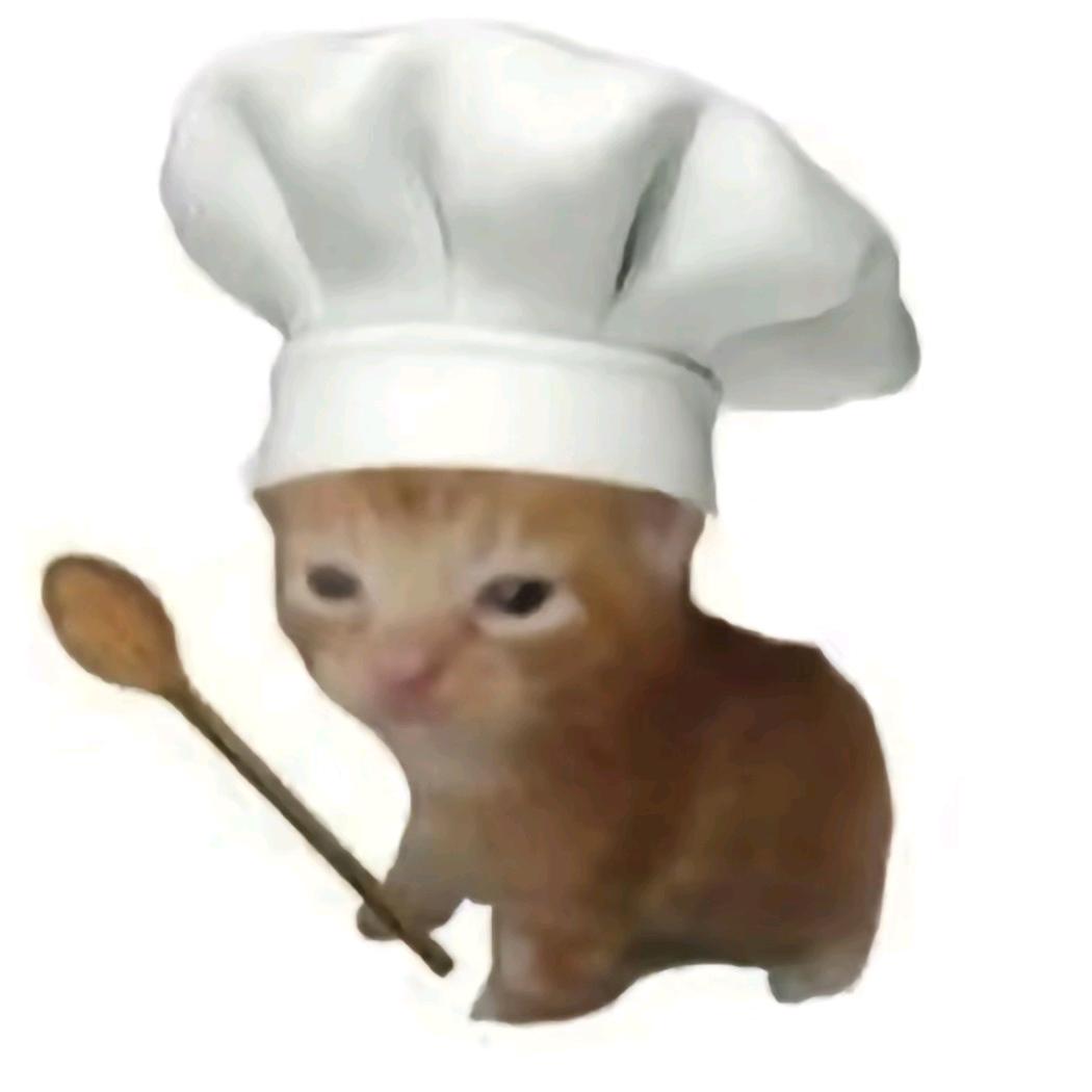 极品小猫厨师