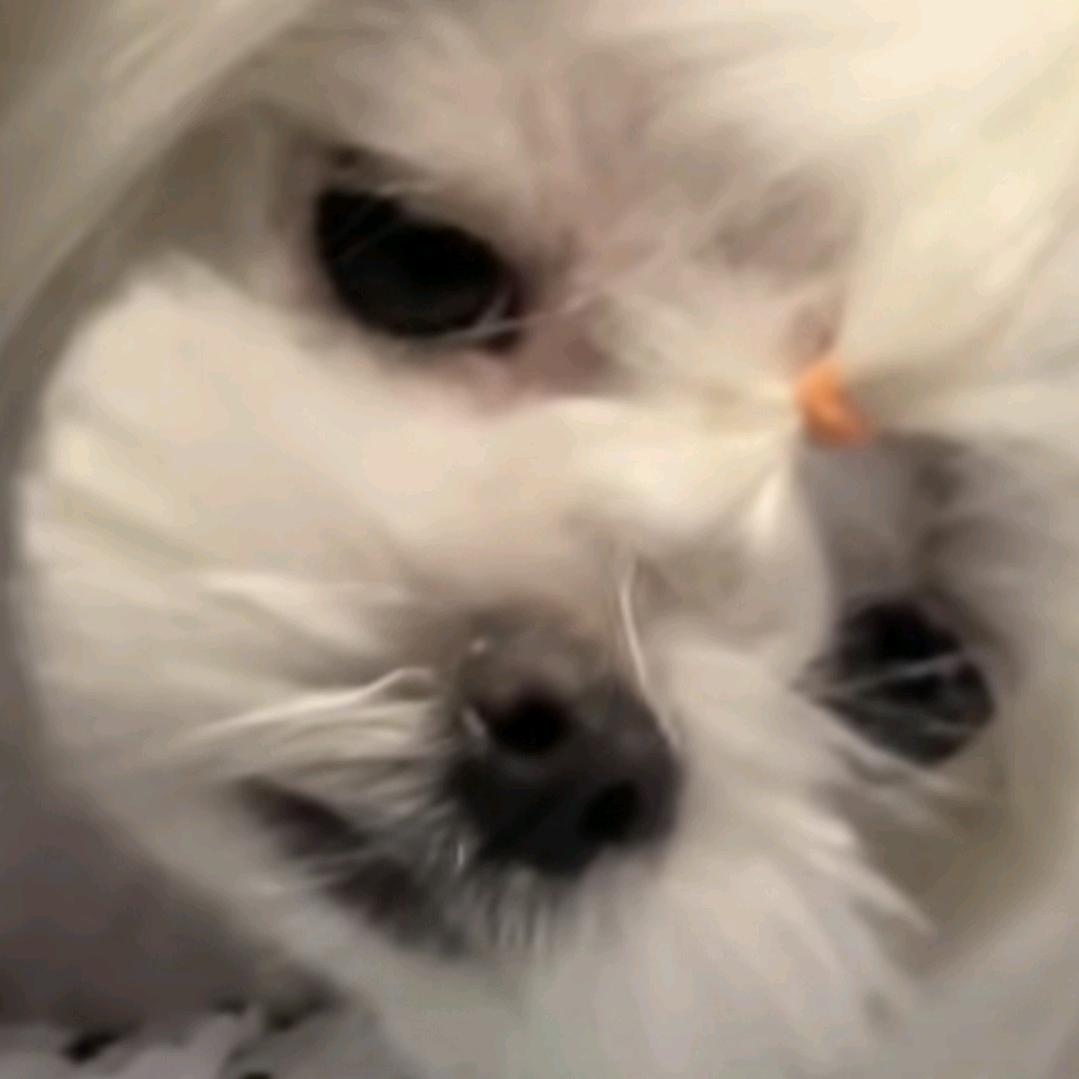 土豆泥个马铃薯