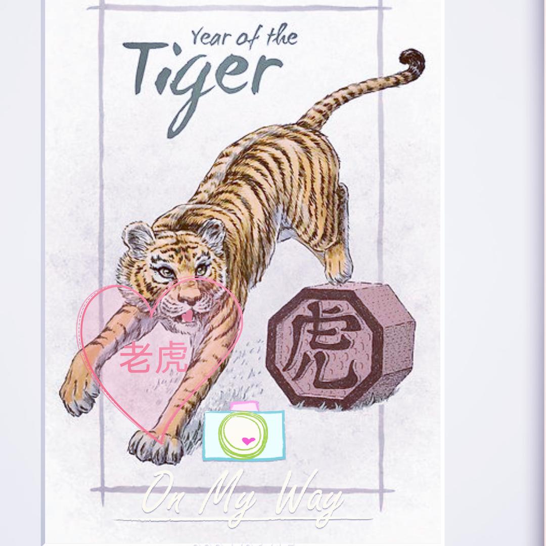 黔西南🐆（属于老虎）