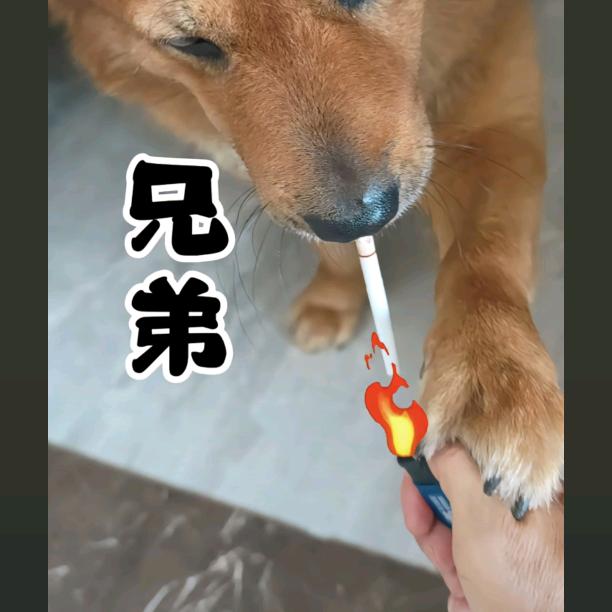 贵J———末时晨