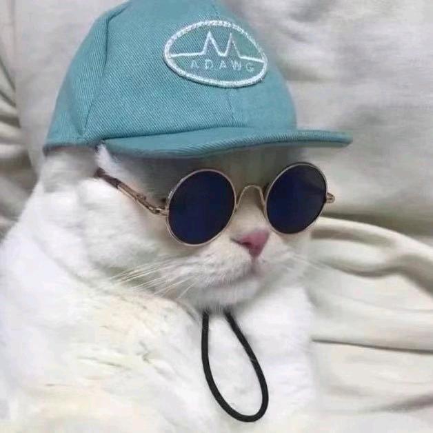 海南网约车~林新