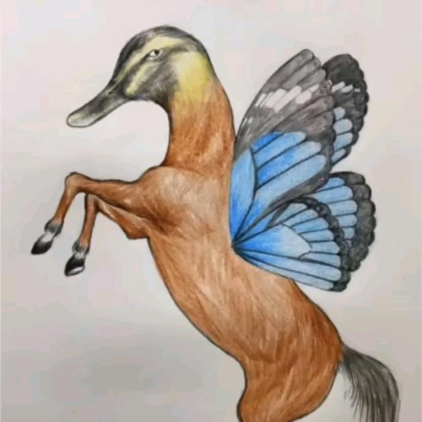与金同行