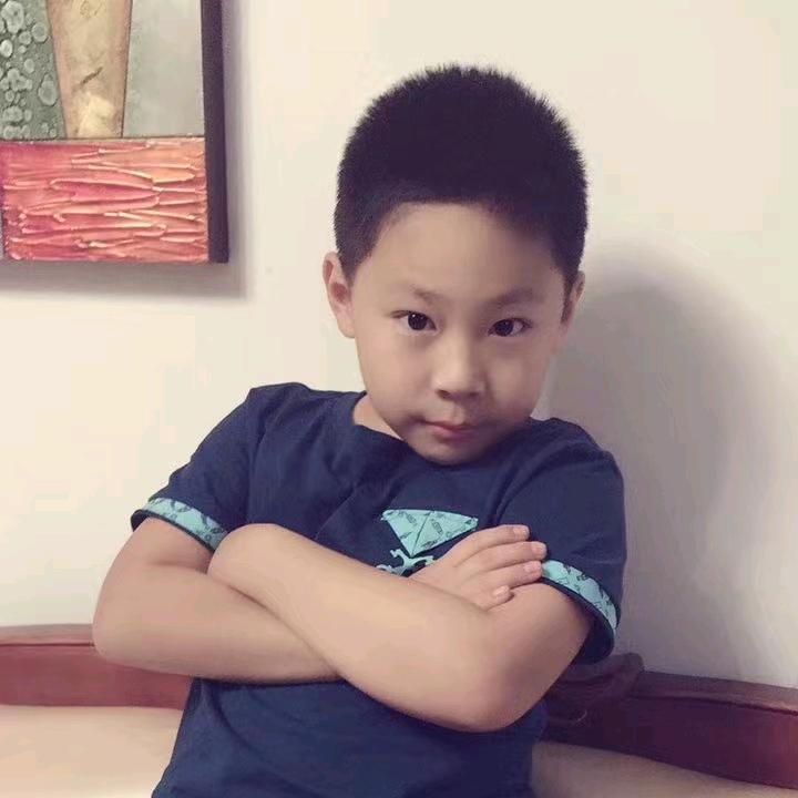 我是一只小小鸟