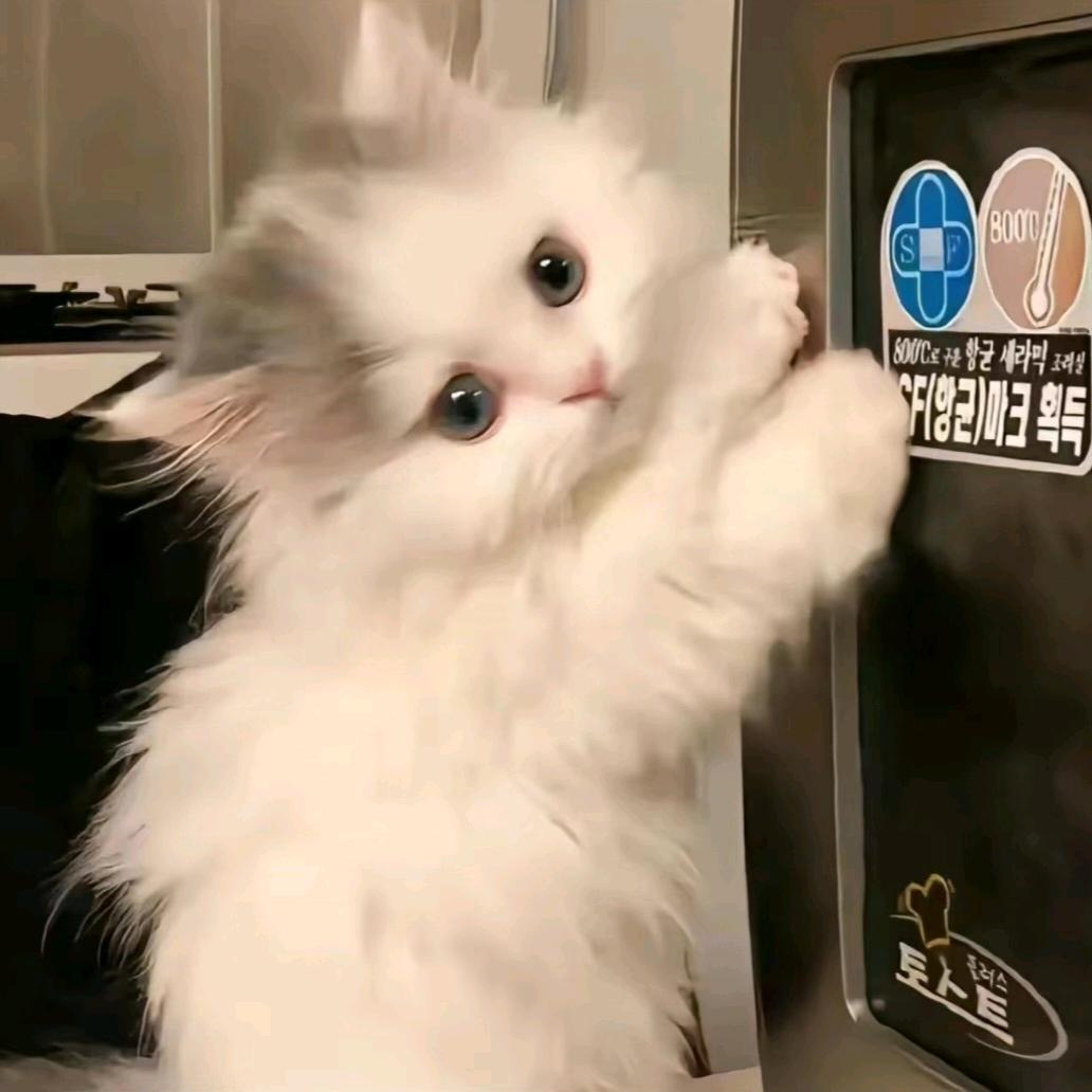 纯情老太