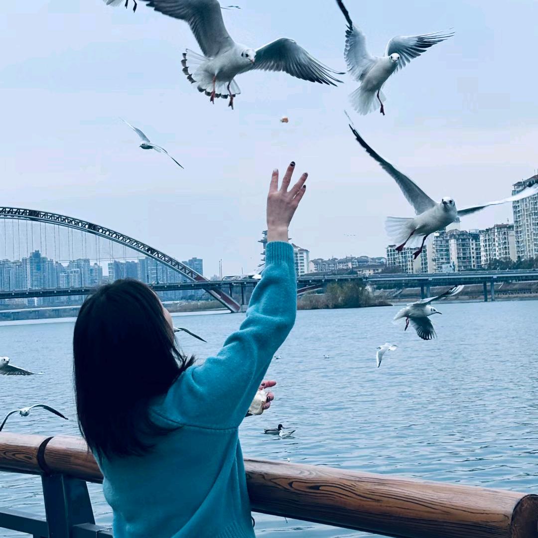 阳阳优选好物