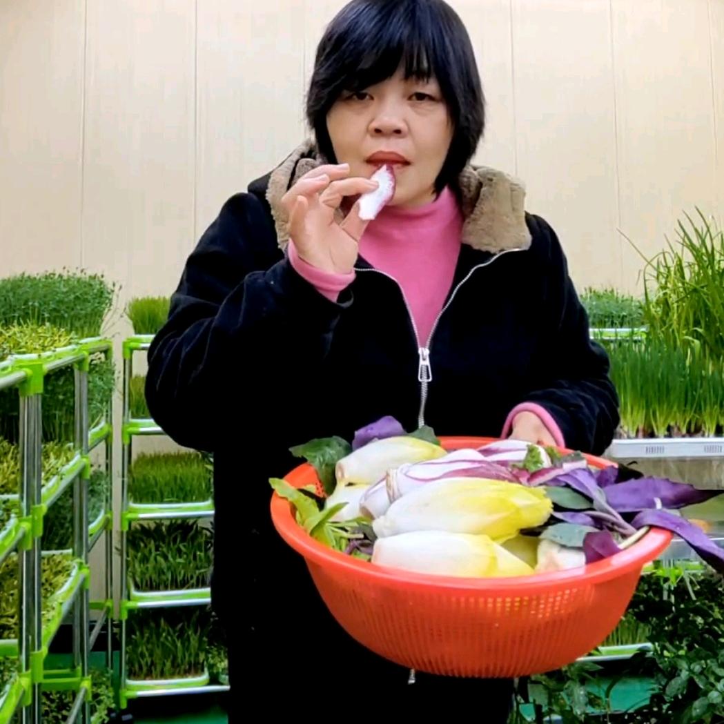 瑞姐芽苗菜