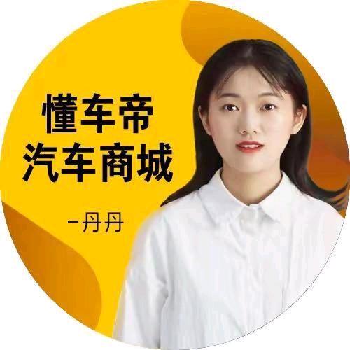 重庆懂车帝二手车（丹丹小号）