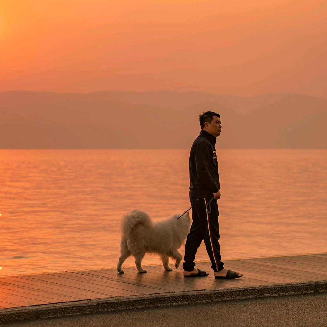 🌈一塔一档 铁⃢粉