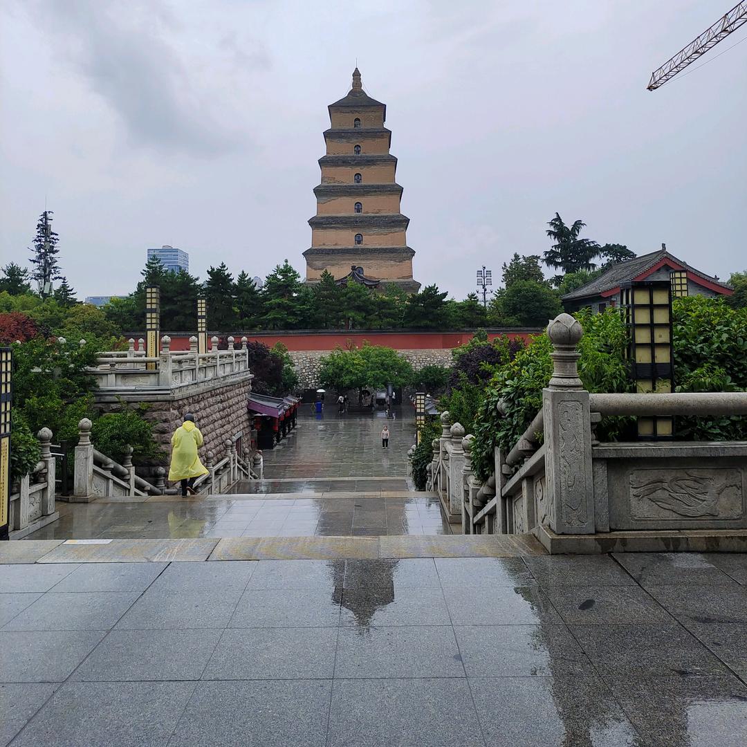 洪哥