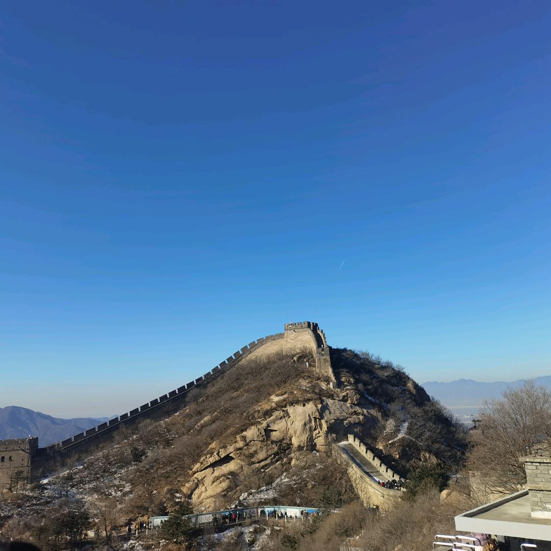 魏