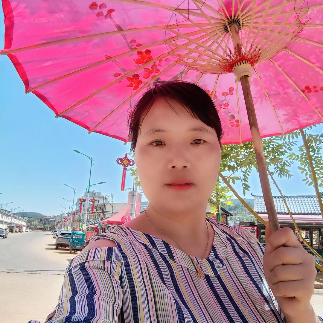 红梅修改