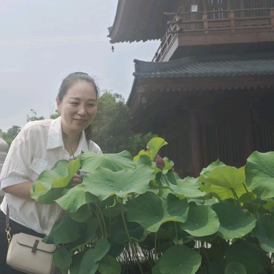 回不去的从前