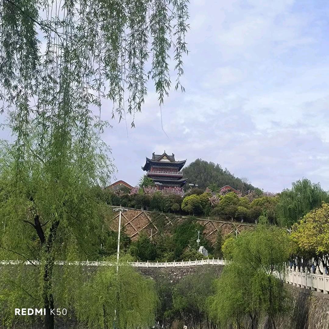 没有图片的我