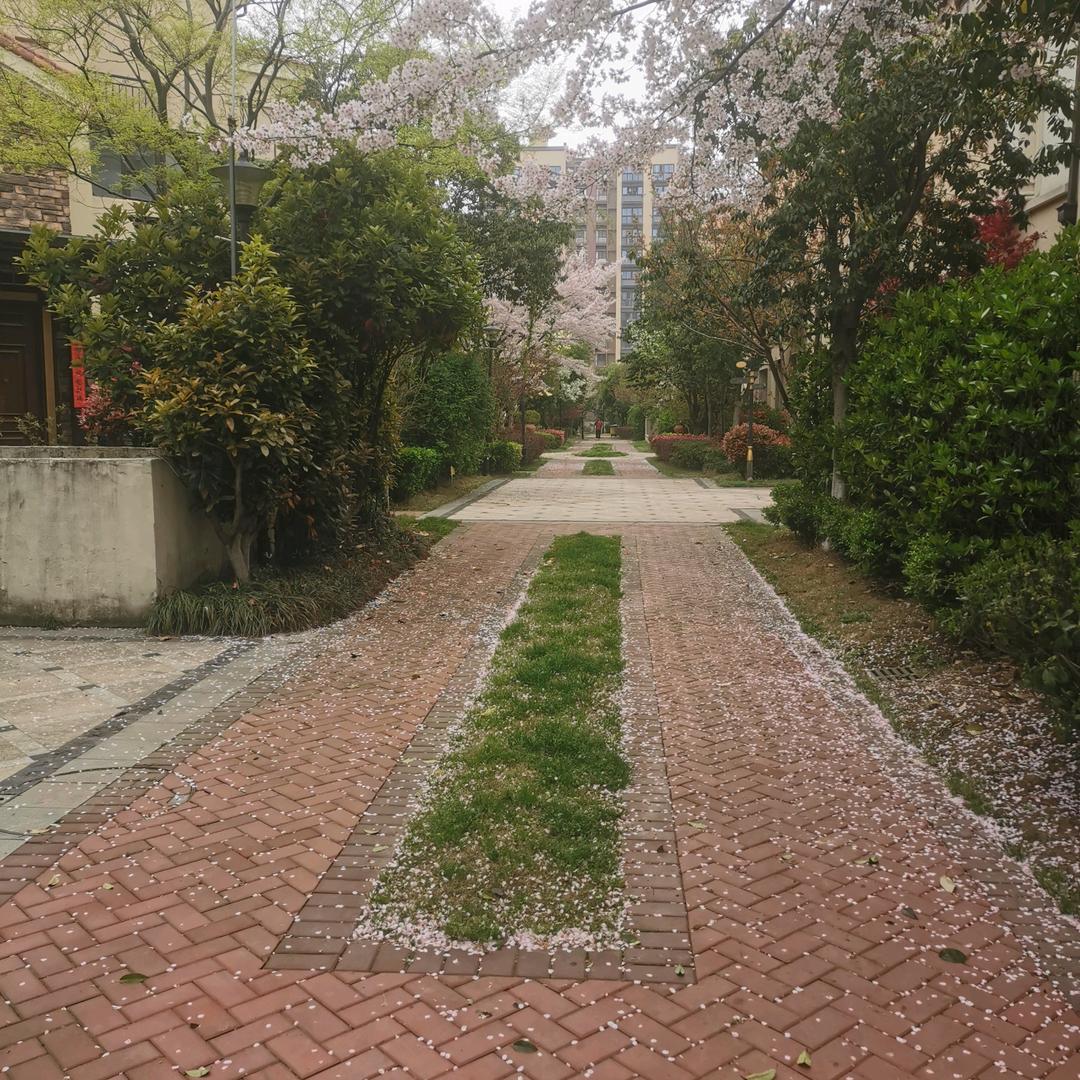 Czcchen糊涂虫