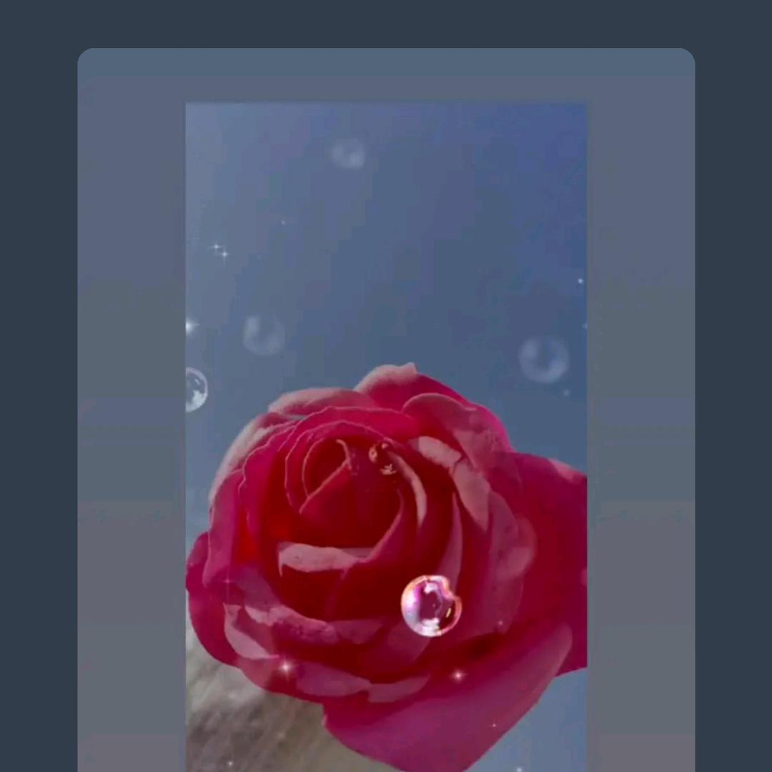 封💞锁爱💫✨️