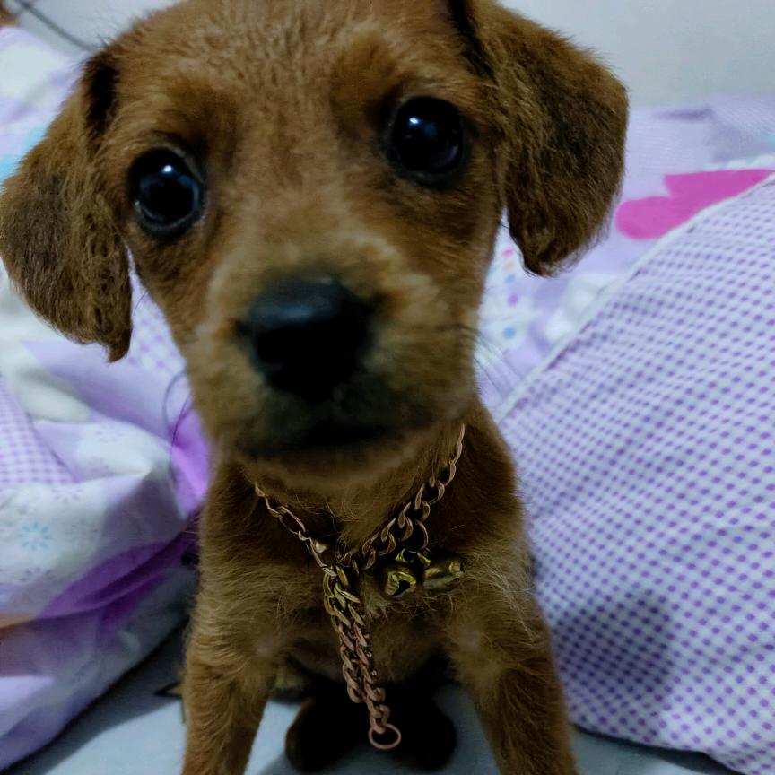 照顾好自己