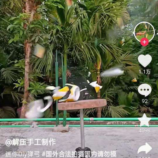 陈主总