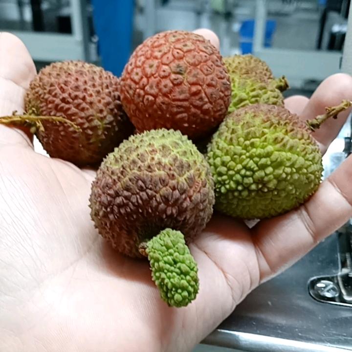 柠檬茶