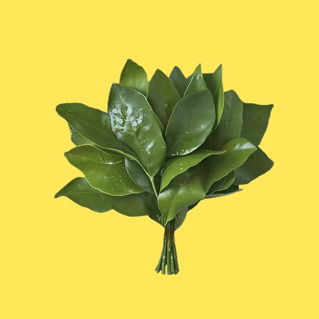 万事顺