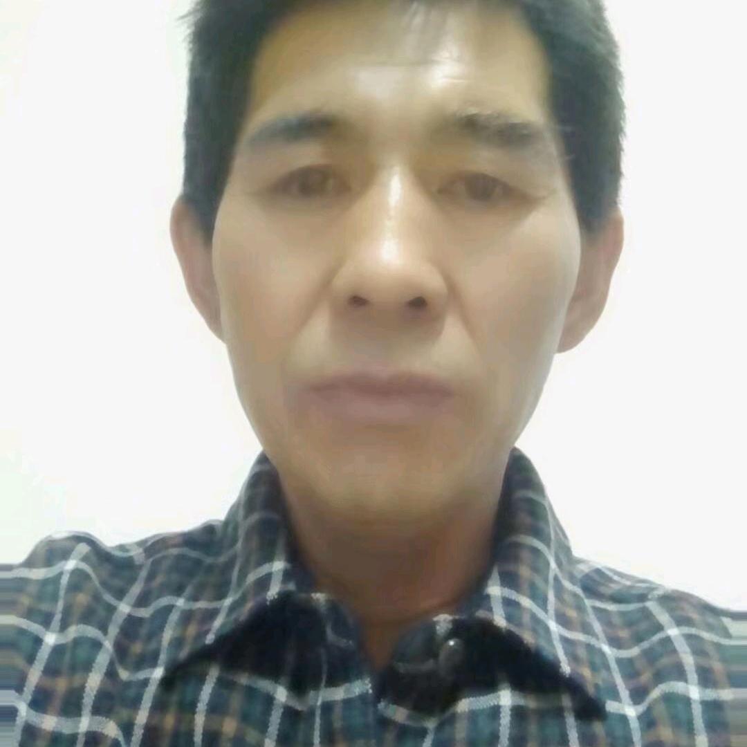 自由自在