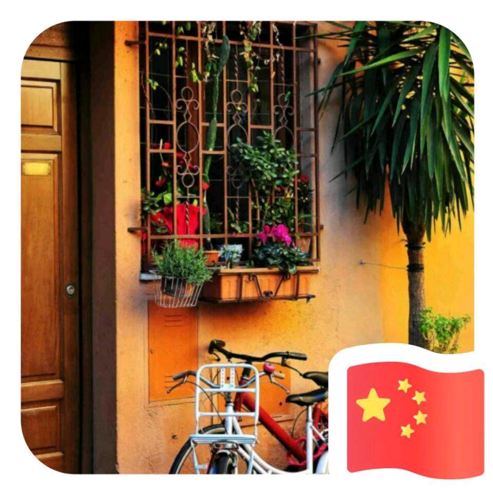 我们的日常