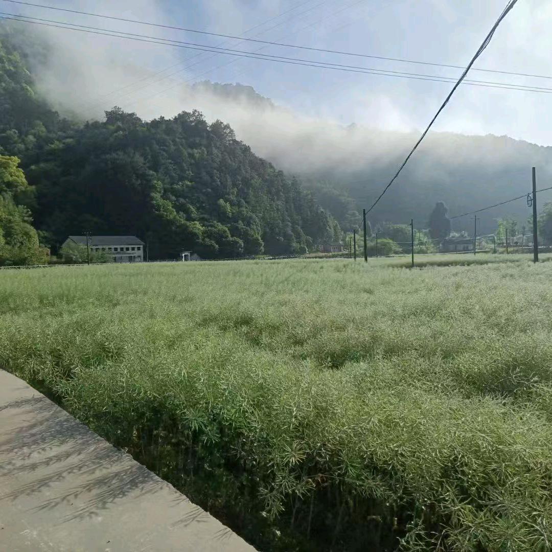 我不是传奇
