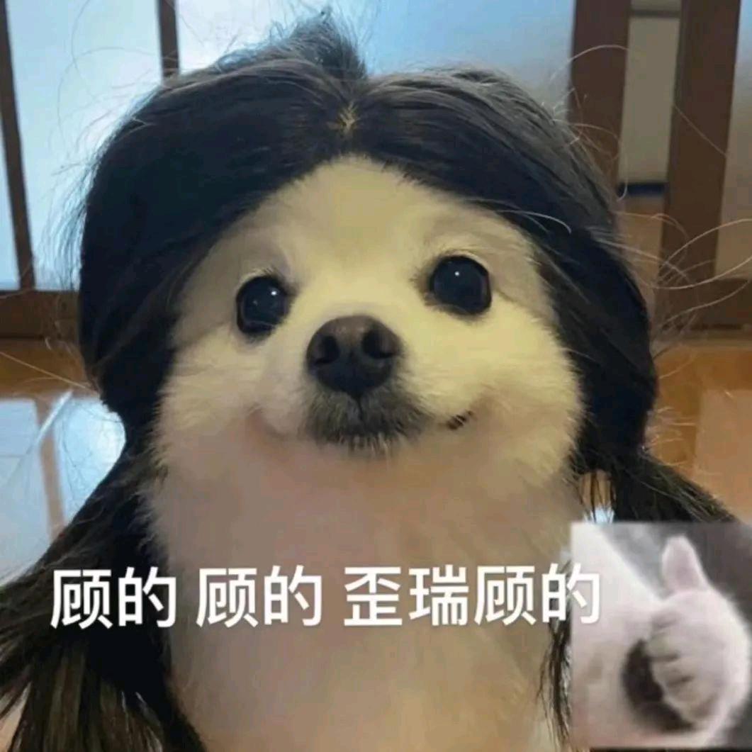小马🐎（才艺版）