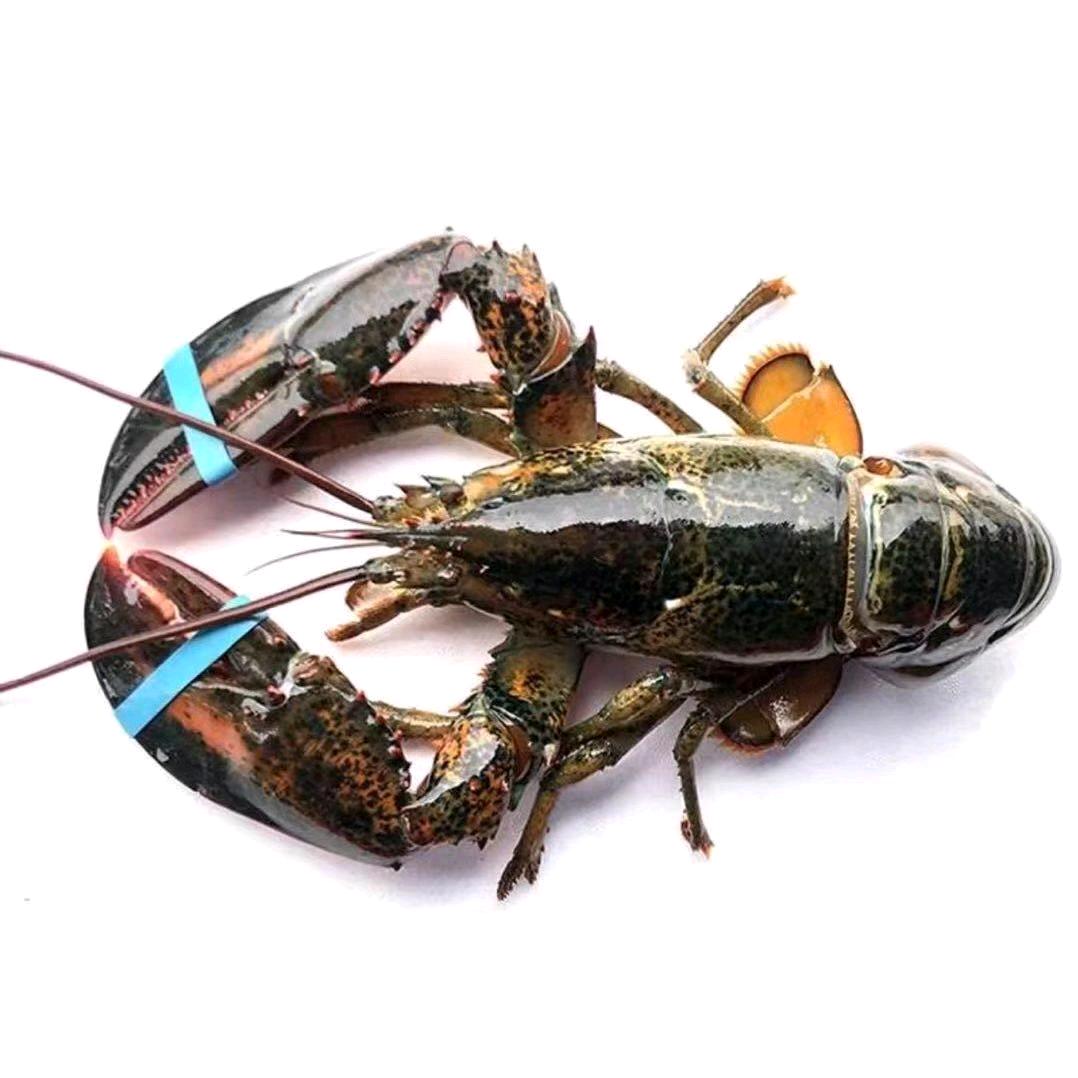 UU先生（深圳）