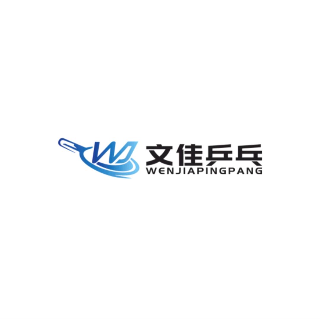 安徽文佳乒校