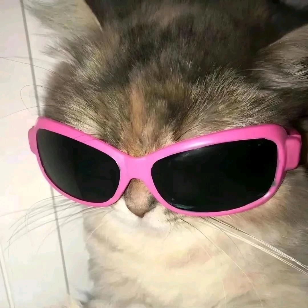 禾麒.