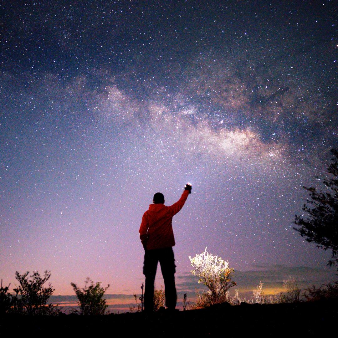 完美﹌<社恐版>