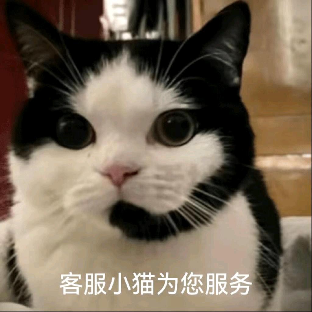 啦啦啦(～￣▽￣)～