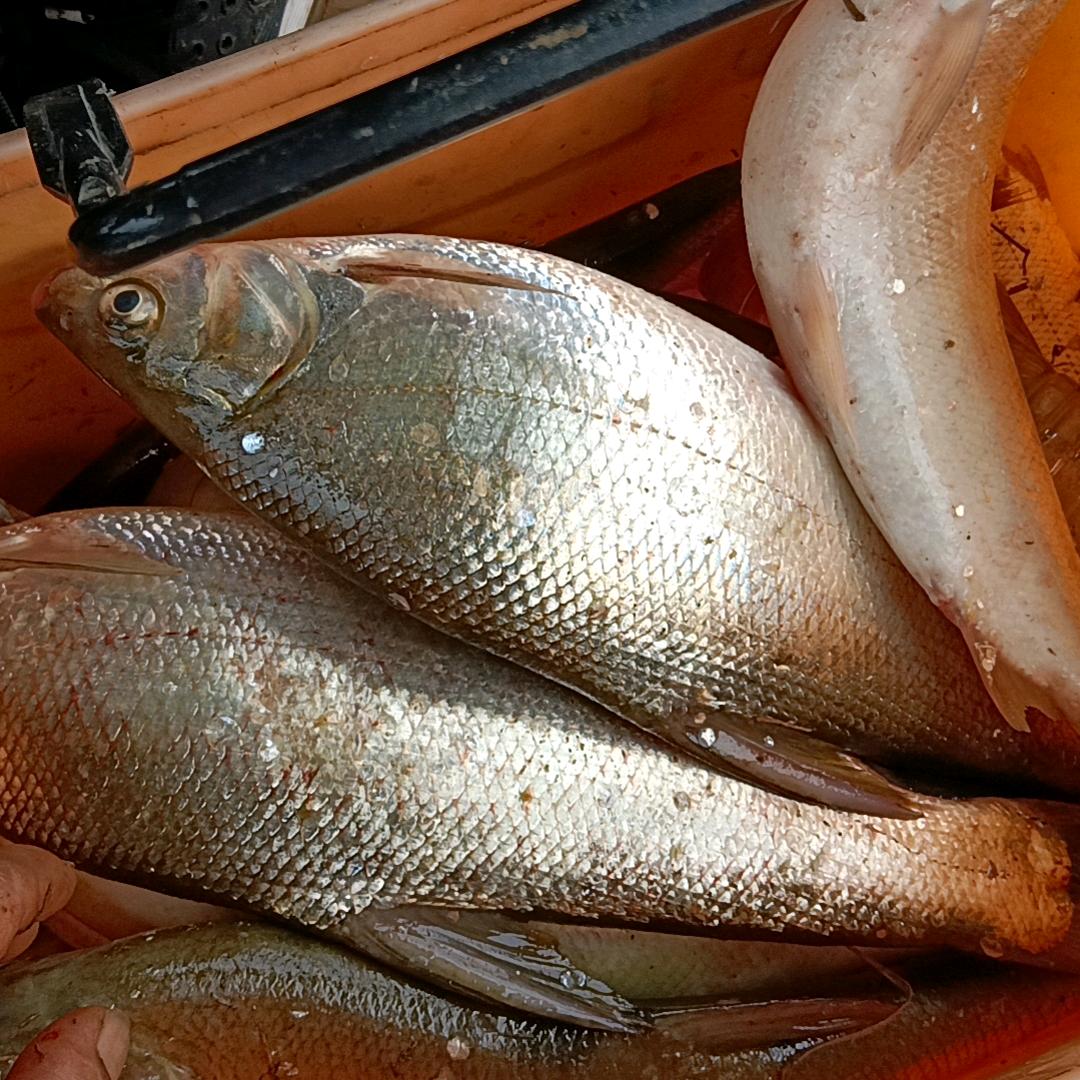 一生有你诚信装饰