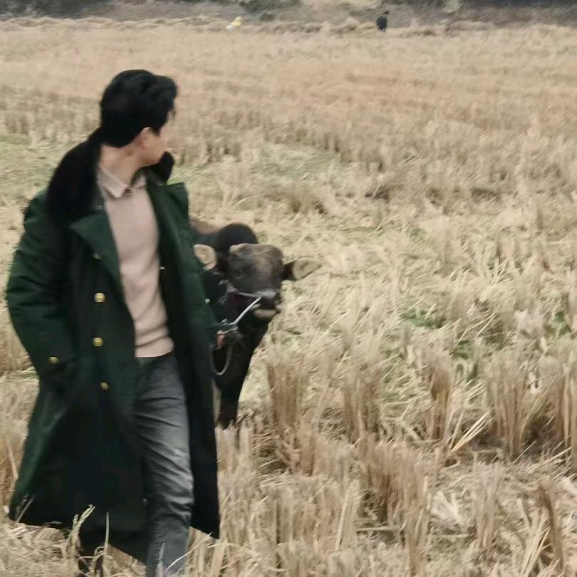 叫什么名字好呢