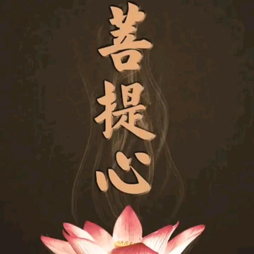 🇨🇳📿菩提心🪷